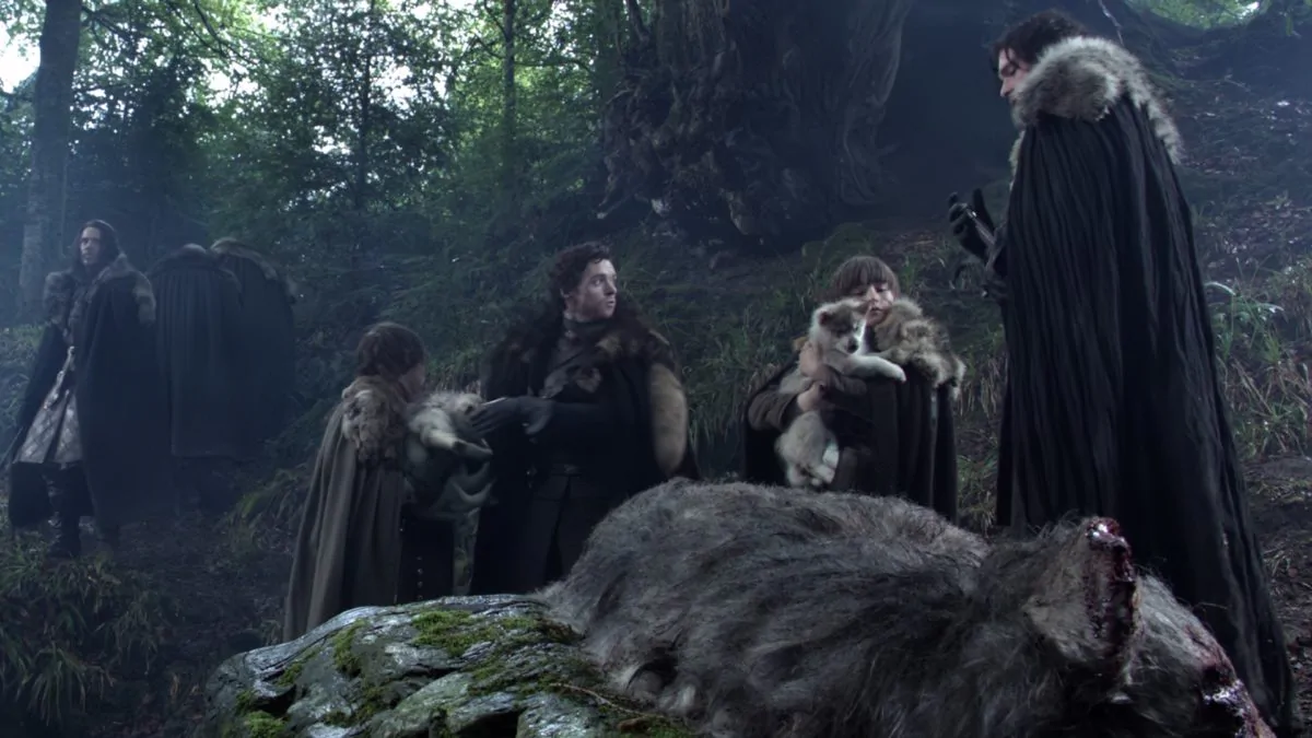 Фото галереи #1