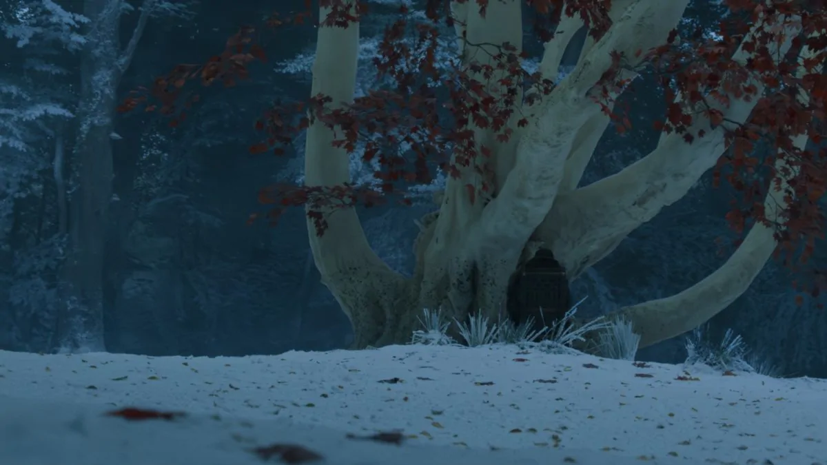 Фото галереи #5